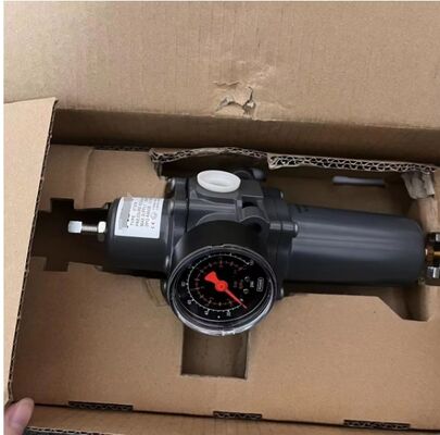 67DFR Model Pressure Reducing Regulator with Filter Function for Industrial Control Valves